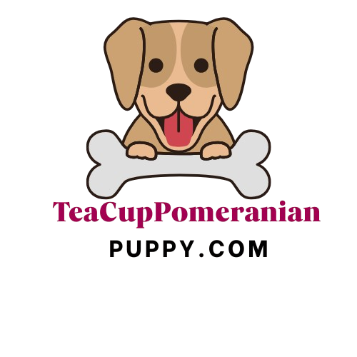 teacuppomeranianpuppy.com