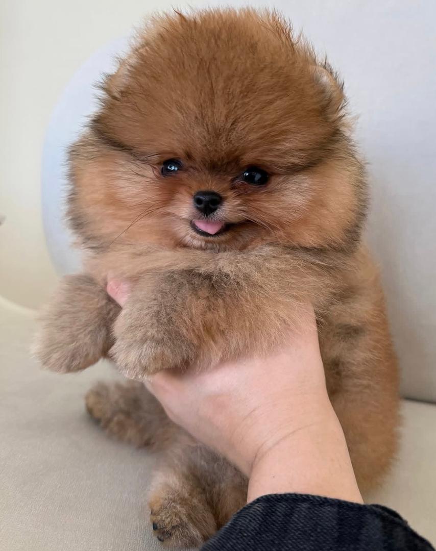 WhatsApp Image 2025-12-29 at 12.48.29 AM (1)