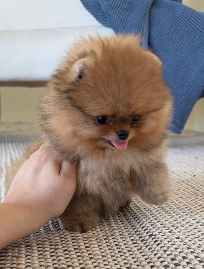 WhatsApp Image 2025-12-29 at 12.48.29 AM (2)