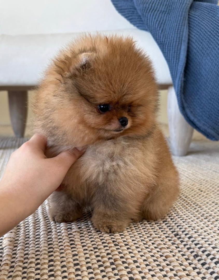 WhatsApp Image 2025-12-29 at 12.48.29 AM