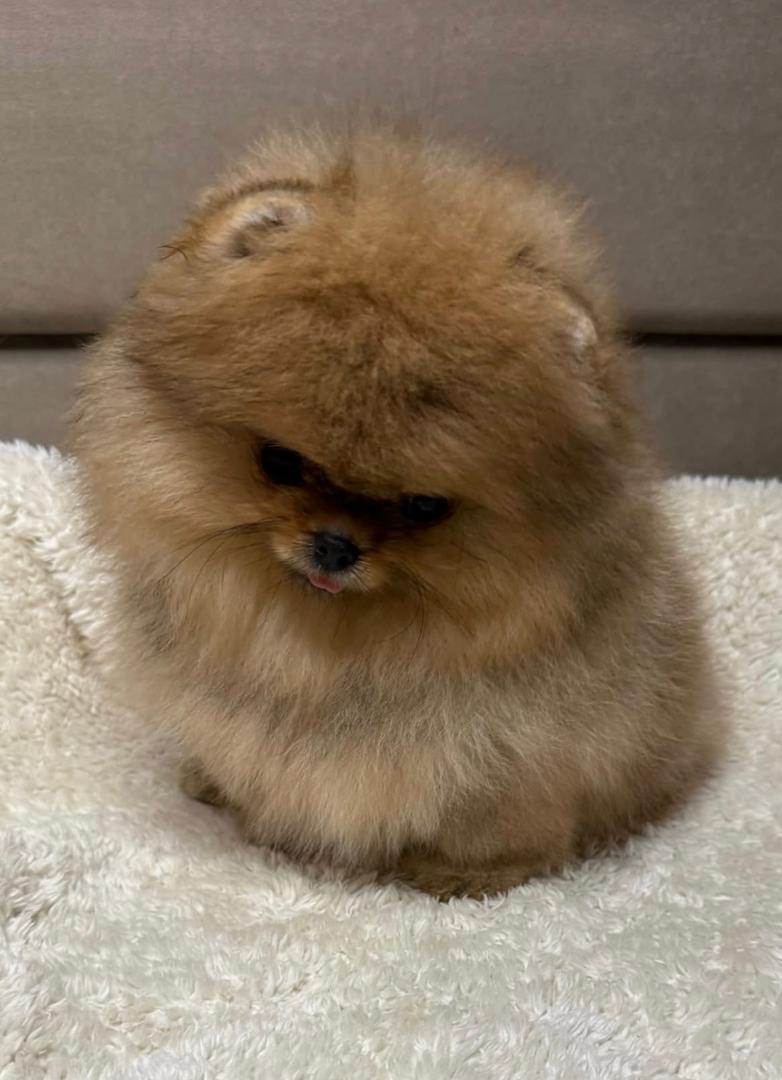 WhatsApp Image 2026-01-19 at 3.18.15 AM