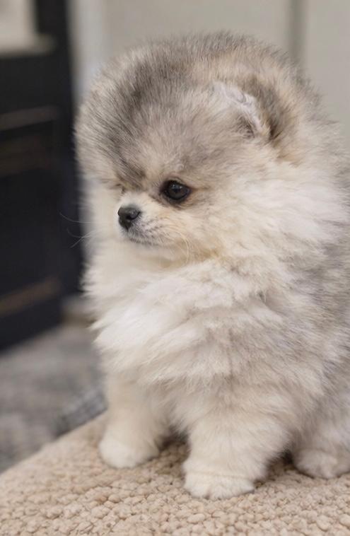 WhatsApp Image 2026-01-19 at 3.54.02 AM (1)