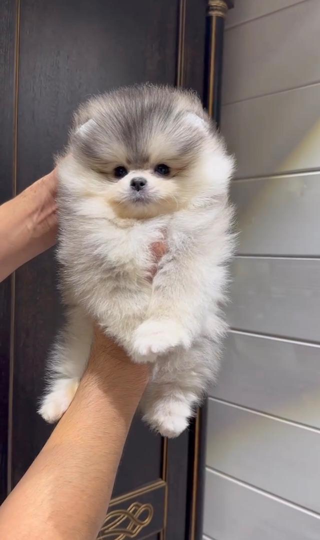 WhatsApp Image 2026-01-19 at 3.54.02 AM